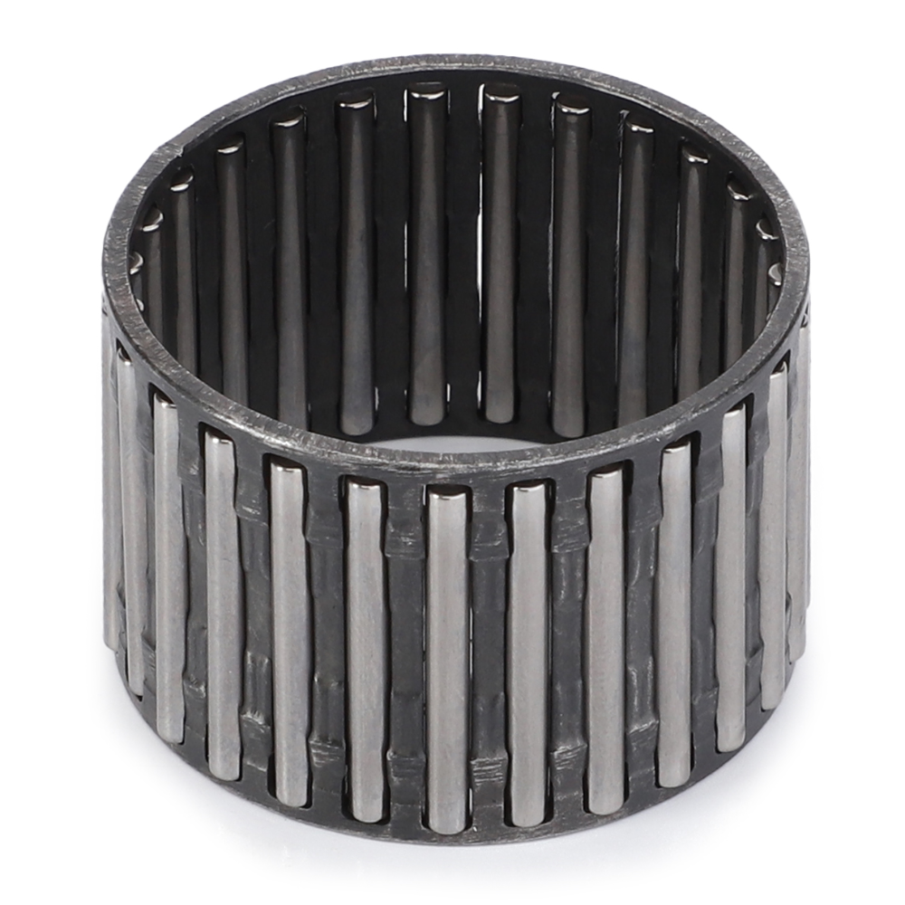 Игольчатая клетка