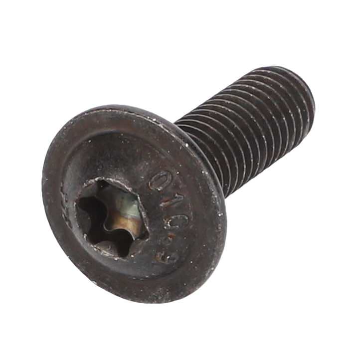 Винт с полукруглой головкой