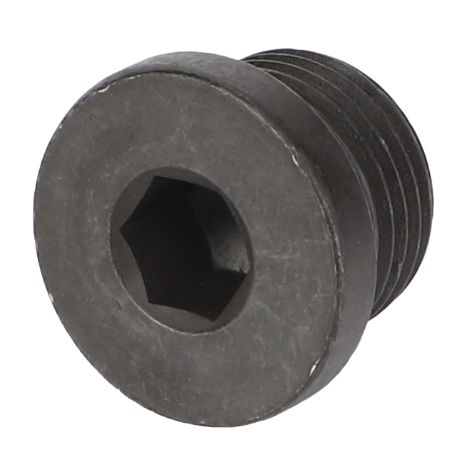 Винт штепсельной вилки