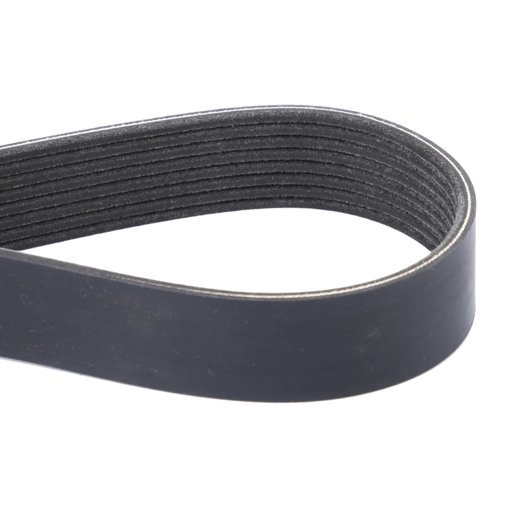 Змеиный пояс