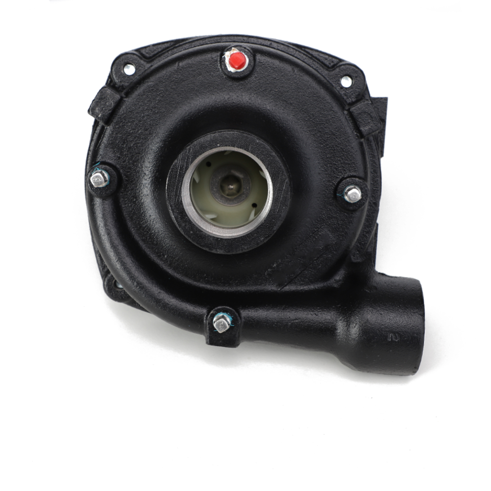 Насос-распылитель