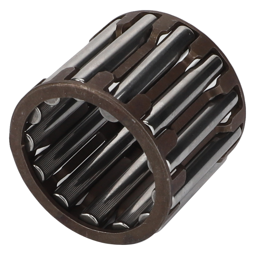 Игольчатая клетка