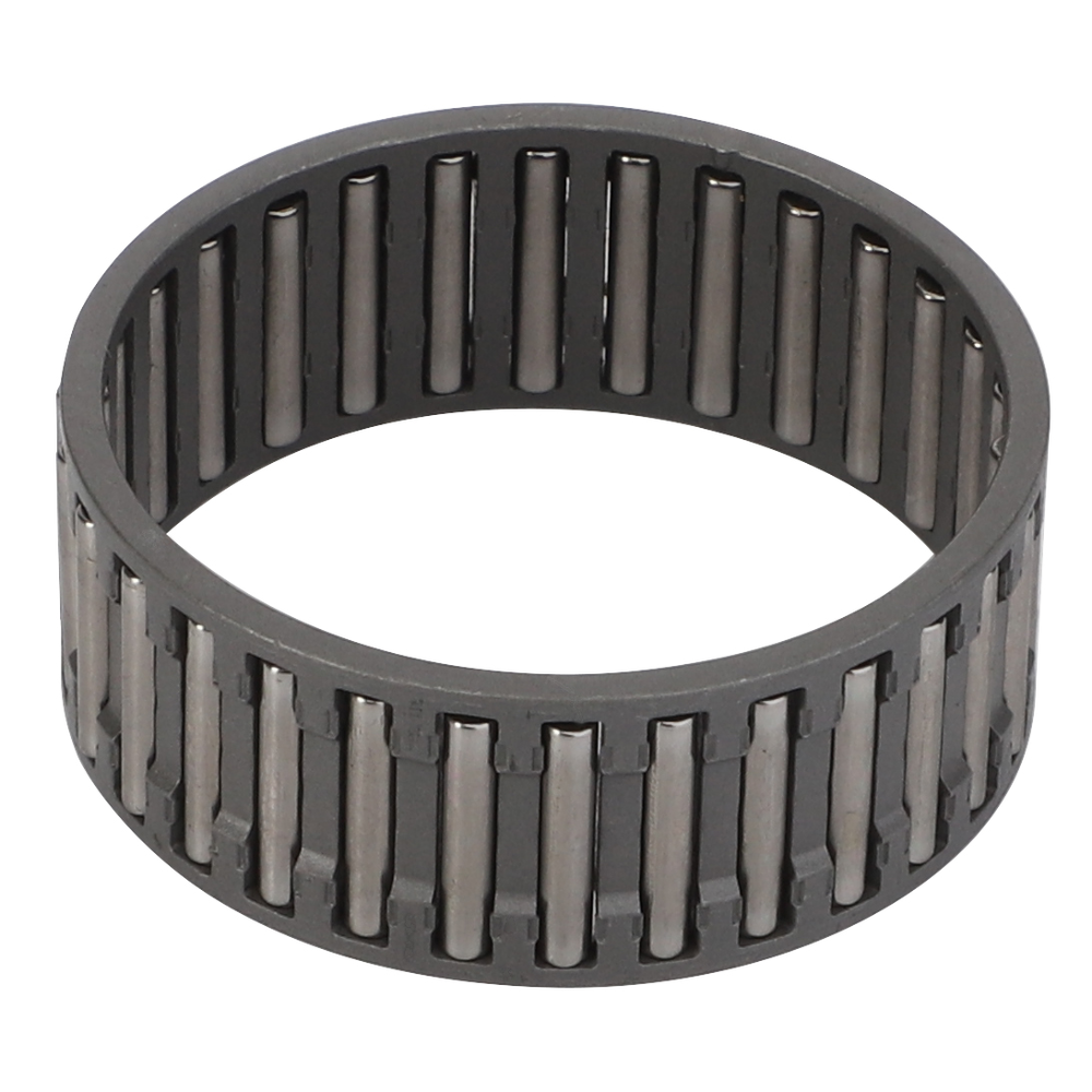 Игольчатая клетка