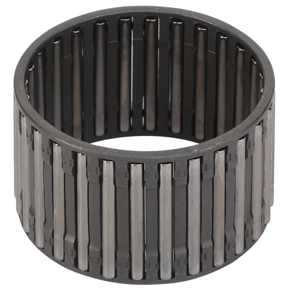 Игольчатая клетка