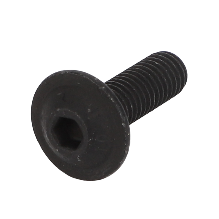 Винт с уменьшенной шаровой головкой