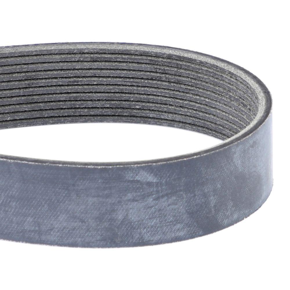 Змеиный пояс