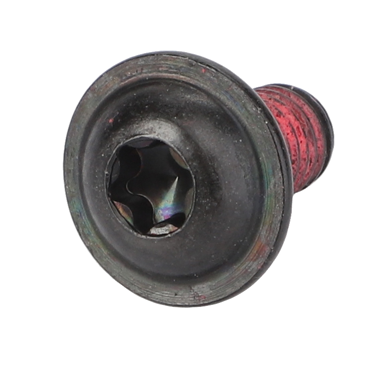 Винт с полукруглой головкой