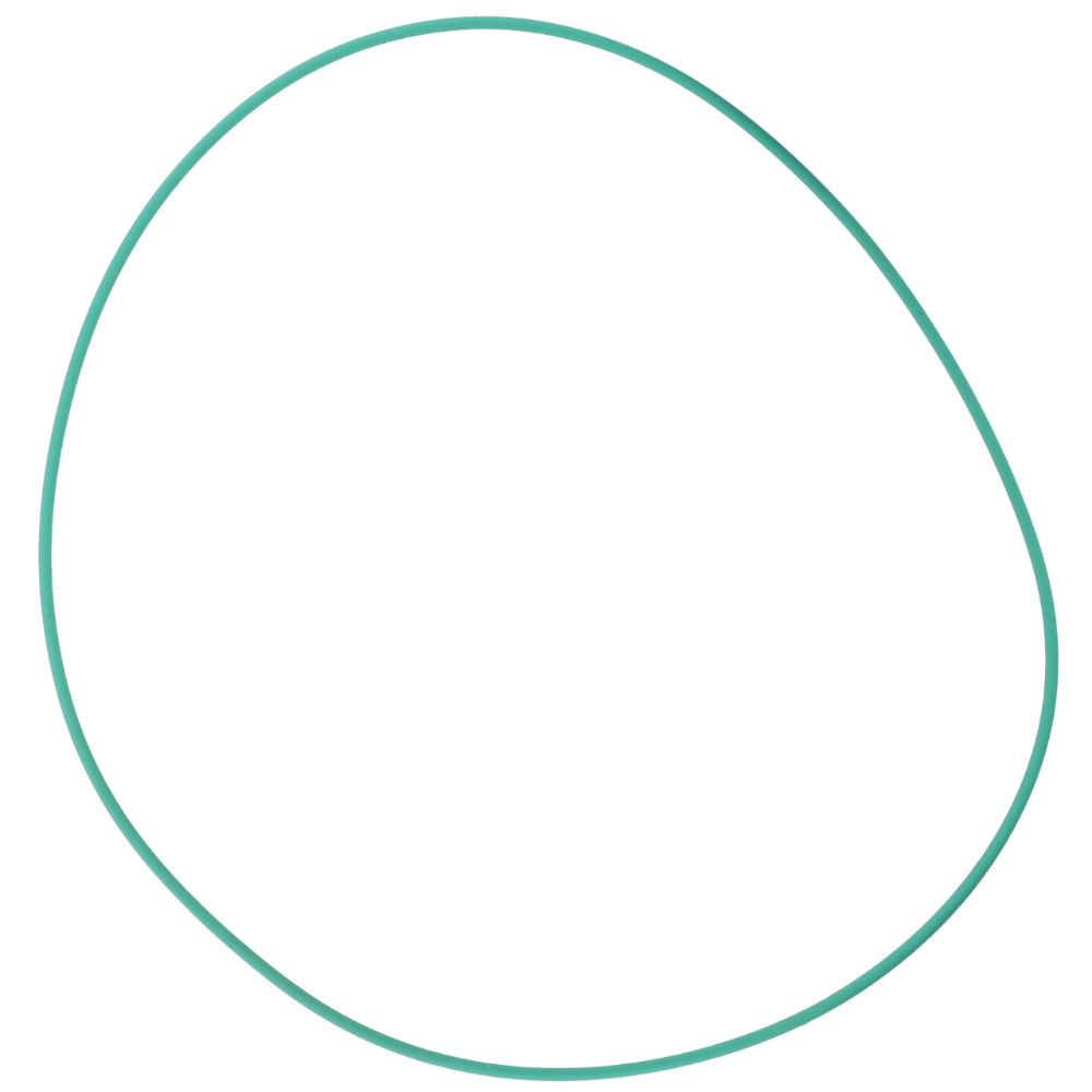 Уплотнительное кольцо